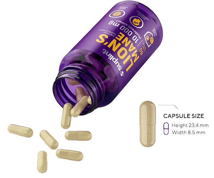 Lion's Mane, 60 capsules - OpenedCapsula l mane png