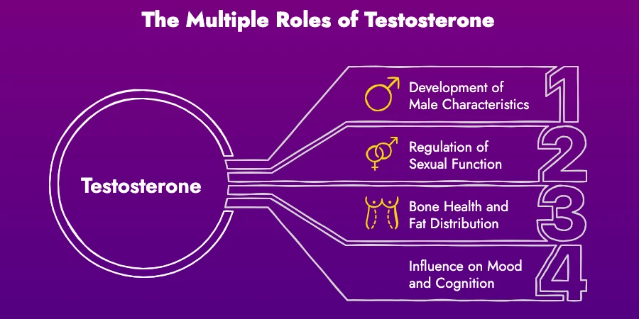 How to increase testosterone? - testosterone roles How to increase testosterone? - testosterone roles