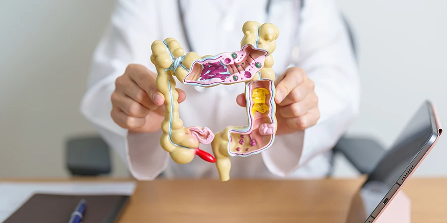 Easy Ways to Improve Your Digestion - AdobeStock Easy Ways to Improve Your Digestion - AdobeStock