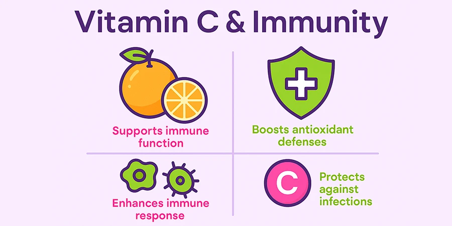 How Does Vitamin C Really Help the Immune System? - vc info