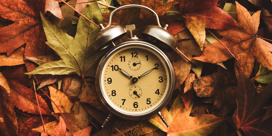 Autumn Fatigue and Drowsiness — The Best Supplements to Boost Energy - AdobeStock