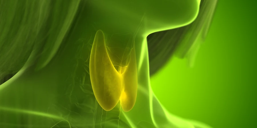 Causes, symptoms and treatment of hypothyroidism - AdobeStock Causes, symptoms and treatment of hypothyroidism - AdobeStock