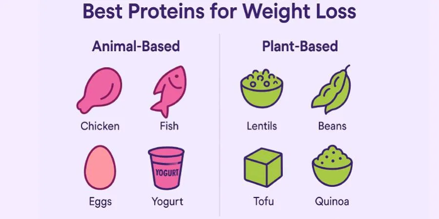 3 Science-Based Steps to Lose Weight Fast - best proteins for weight loss