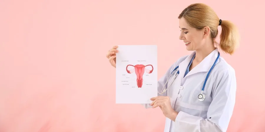 Inositol 40:1 - What It's For and How to Take It Properly - female reproductive system Inositol 40:1 - What It's For and How to Take It Properly - female reproductive system